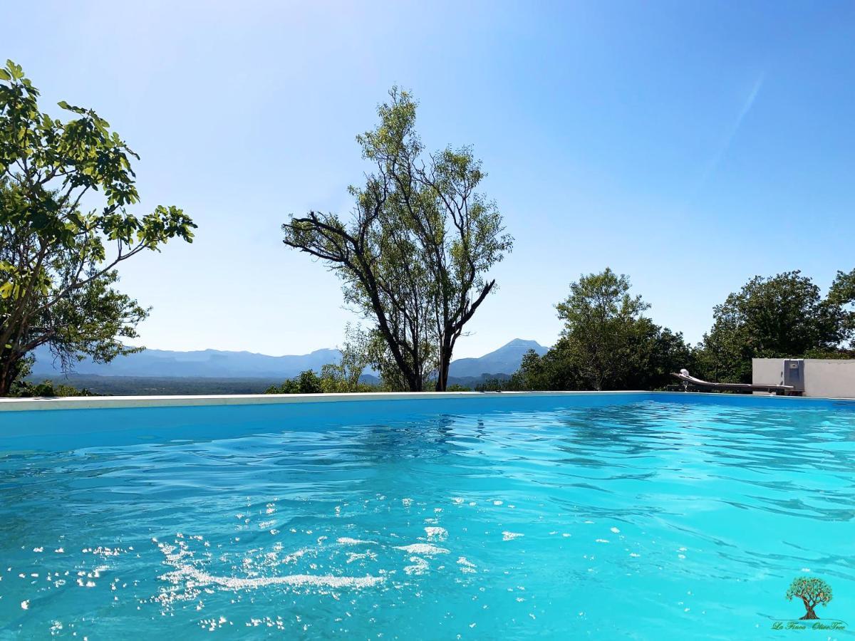 La Finca Olivetree Katuni エクステリア 写真