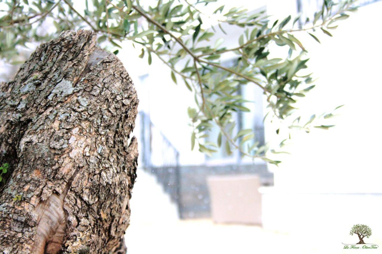 La Finca Olivetree Katuni エクステリア 写真